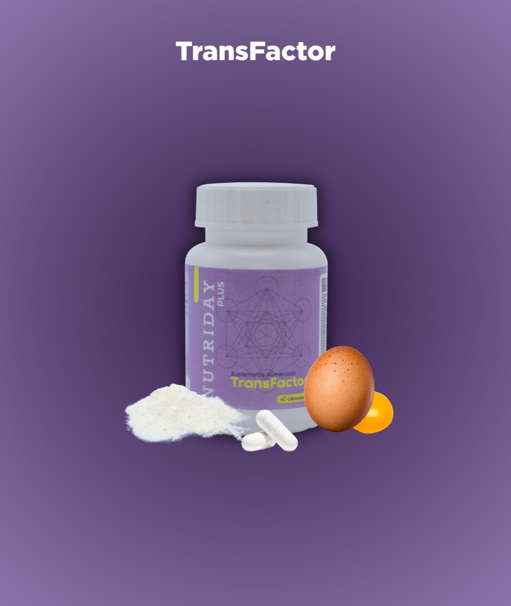 TransFactor